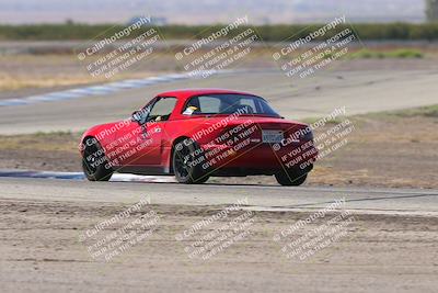 media/Oct-04-2025-OnGrid (Sat) [[44bd565ffa]]/Green Group/Grapevine/